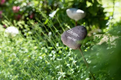 a rock with writing on it sitting in the grass at Göllerhof in Caldaro