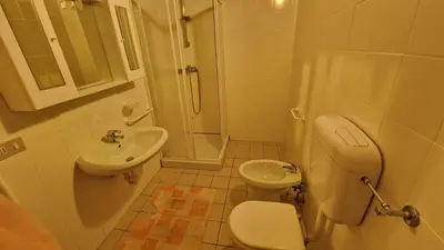 a bathroom with a toilet and a shower and a sink at Malga Arpaco- camere e ristorante in Cinte Tesino