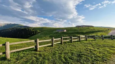 a wooden fence on a grassy hill with a house at Malga Arpaco- camere e ristorante in Cinte Tesino