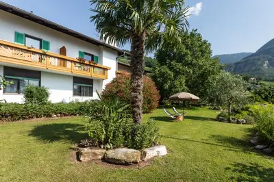 a house with a palm tree in the yard at Sonnenhof- Urlaub auf den Bauernhof in Montagna