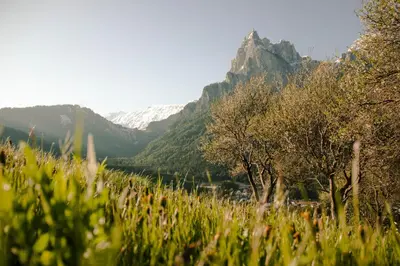 a view of a mountain with trees and mountains at Kreuzerhof in Siusi