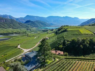 an aerial view of a vineyard with a river and mountains at Villa Barleit in Caldaro