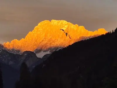 a bird flying in front of a mountain at Appartamento Madama in Falcade