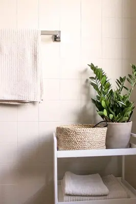 a bathroom with a plant sitting on a shelf at haus e Apartment 2 in Lana