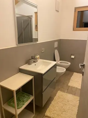 a bathroom with a sink and a toilet and a mirror at Lagorai Suites in Cavalese