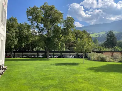 a green field with a tree in the middle of a building at Priesterseminar Brixen in Bressanone