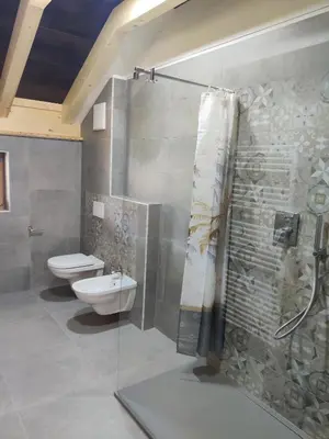 a bathroom with a shower and a toilet and a sink at Freines in La Valle