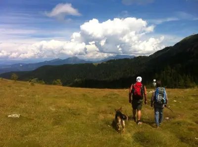 two people and a dog walking in a field at La cà di nonna Natalia in Brusago