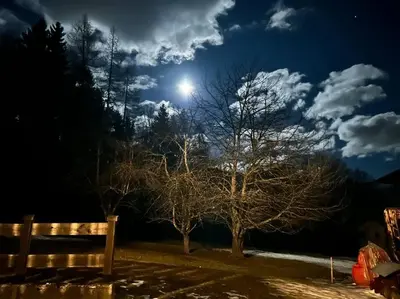 a bench in a park at night with the moon at Sole e Neve -Sun & Snow in Forno di Zoldo