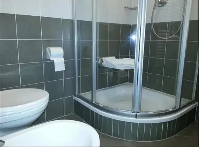 a bathroom with a shower and a toilet and a sink at Alping Apartments in Brunico