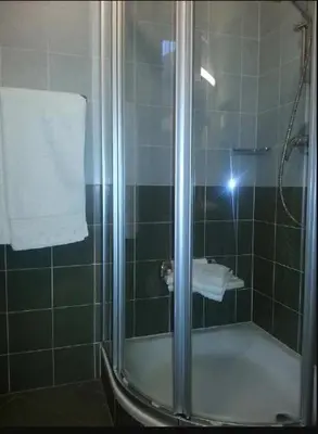 a shower with a glass door and a towel at Alping Apartments in Brunico