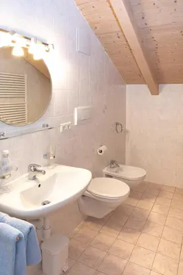 a bathroom with a sink and a toilet and a mirror at Apartment Getzenbergerhof in Chienes