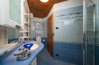 a bathroom with a sink and a shower at Casa Rosina in Tesero
