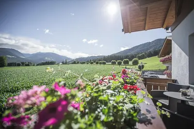 a patio with flowers and a field of mountains at Hotel Garni Hochgruber in Brunico