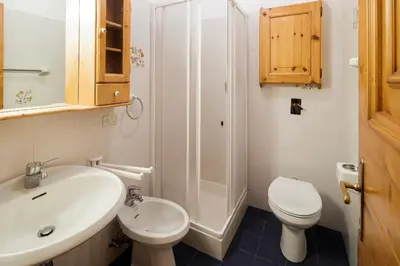 a bathroom with a sink and a toilet and a shower at Villa Marianna - Stayincortina in Cortina dʼAmpezzo