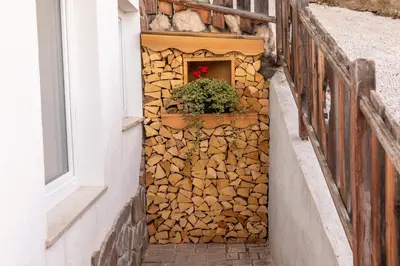 a wall made of fire wood with a plant in it at Cesa dele Angele in Colle Santa Lucia