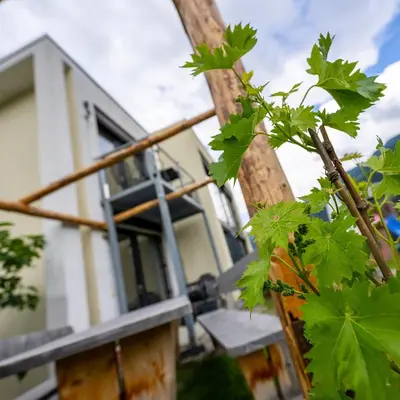 a house with a broken window and a tree at Biohof Gala in Naturno