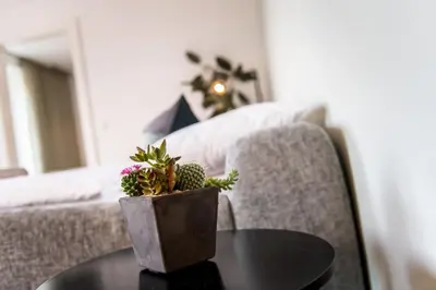 a table with a potted plant on top of it at ANDERS City Loft in Brunico