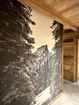 a wall mural of a snowy mountain at WHITE MOSS GARNì in Transacqua
