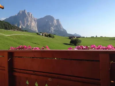 a fence with pink flowers and mountains in the background at Hotel Rosslaufhof in Castelrotto