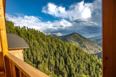 a view of a forest of trees from a balcony at La Munt in Longega