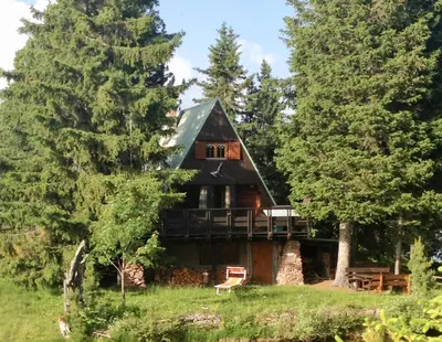 a log cabin in the woods with a tree at Chalet Cermis in Cavalese