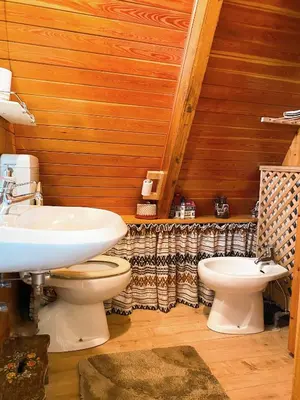 a bathroom with a sink and a toilet at Chalet Cermis in Cavalese