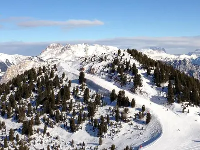 an aerial view of a snow covered mountain with trees at Chalet Cermis in Cavalese