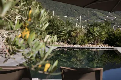 a view of a pool with two chairs and trees at Stöckler Hof in Lana