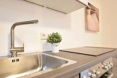 a kitchen with a sink and a potted plant at Cosy new apartment in calm area near merano in Merano