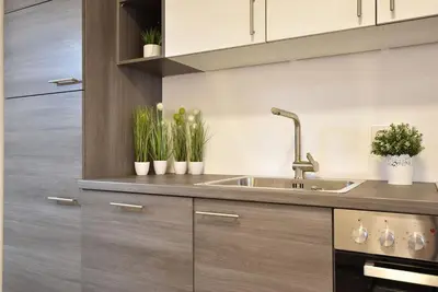 a kitchen with a sink and some potted plants at Cosy new apartment in calm area near merano in Merano