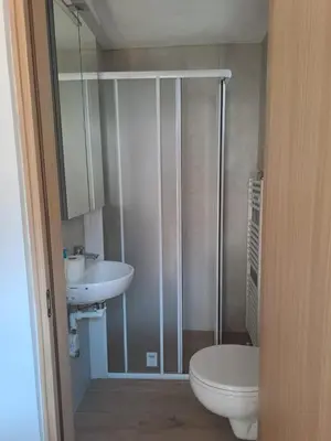 a bathroom with a shower and a toilet and a sink at Casa Dolomiti in Mezzano