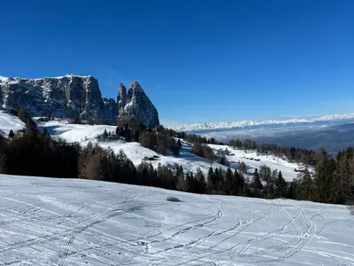 a snow covered slope with trees and a mountain at apartment center pepi in Ortisei