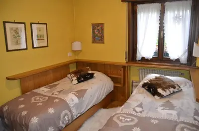a bedroom with two beds and a window at Ground floor with garden in San Vito di Cadore