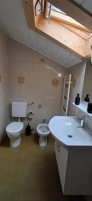 a bathroom with a toilet and a sink at Haus Tauber in Cornaiano