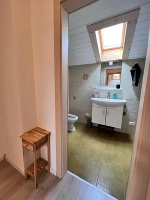 a bathroom with a sink and a toilet at Haus Tauber in Cornaiano