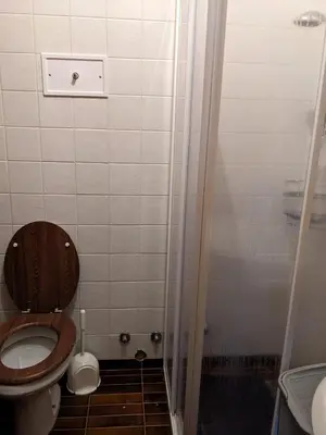 a small bathroom with a toilet and a shower at Appartamento Duplex San Vito di Cadore in San Vito di Cadore