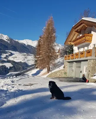 a dog sitting in the snow in front of a building at Lexhof in Mareta