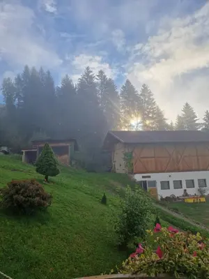 a building on a hill with a field and trees at Lexhof in Mareta