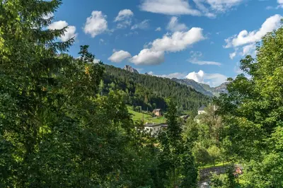 a view of a mountain through the trees at Casa Molino La Stua - El Fornel in Falcade