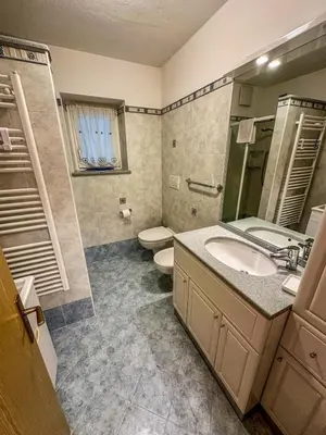 a bathroom with a sink and a toilet at Cesa Bernard - Aloch in Pozza di Fassa