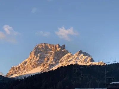 a view of a mountain with trees in front of it at Ciasa Coleto in San Vito di Cadore
