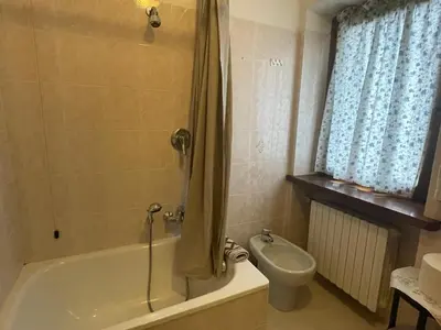 a bathroom with a bath tub and a toilet at Ciasa Coleto in San Vito di Cadore