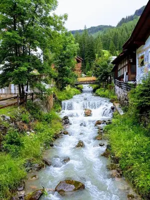 a river with rocks in the middle of a forest at Casa Canazei, 2-5 pers Appartement 122 in Canazei