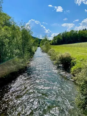 a stream of water with trees and a field at Mahrhof zu Adlitzhausen in Scandole