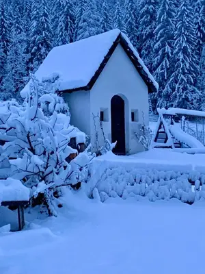 a house covered in snow with trees in the background at Mahrhof zu Adlitzhausen in Scandole