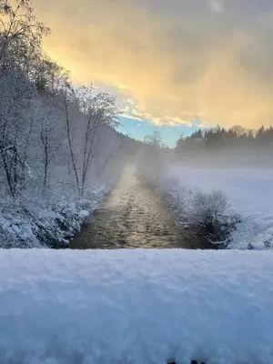 a snow covered road in the middle of a field at Mahrhof zu Adlitzhausen in Scandole