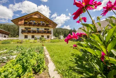 a house in a field with flowers in the foreground at Mahrhof zu Adlitzhausen in Scandole