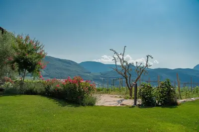 a garden with flowers and a fence and mountains at Garni Osannahöfl in Caldaro