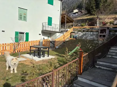 a dog standing in the yard of a house at Appartamento Maria appartamento nelle dolomiti in Canale San Bovo